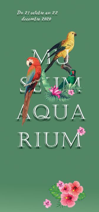 Affiche présentant une exposition sur les oiseaux tropicaux